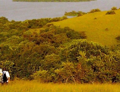 NDERE ISLAND NATIONAL PARK