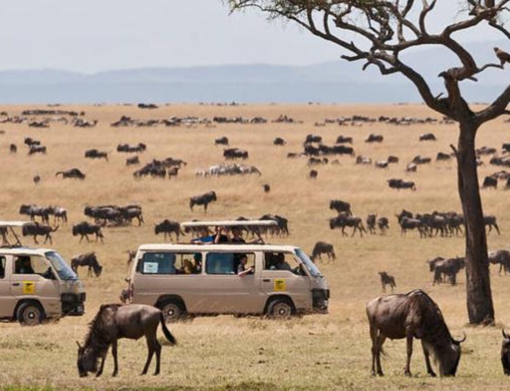 HIGHLIGHTS OF KENYA - Safaris and Travel Africa