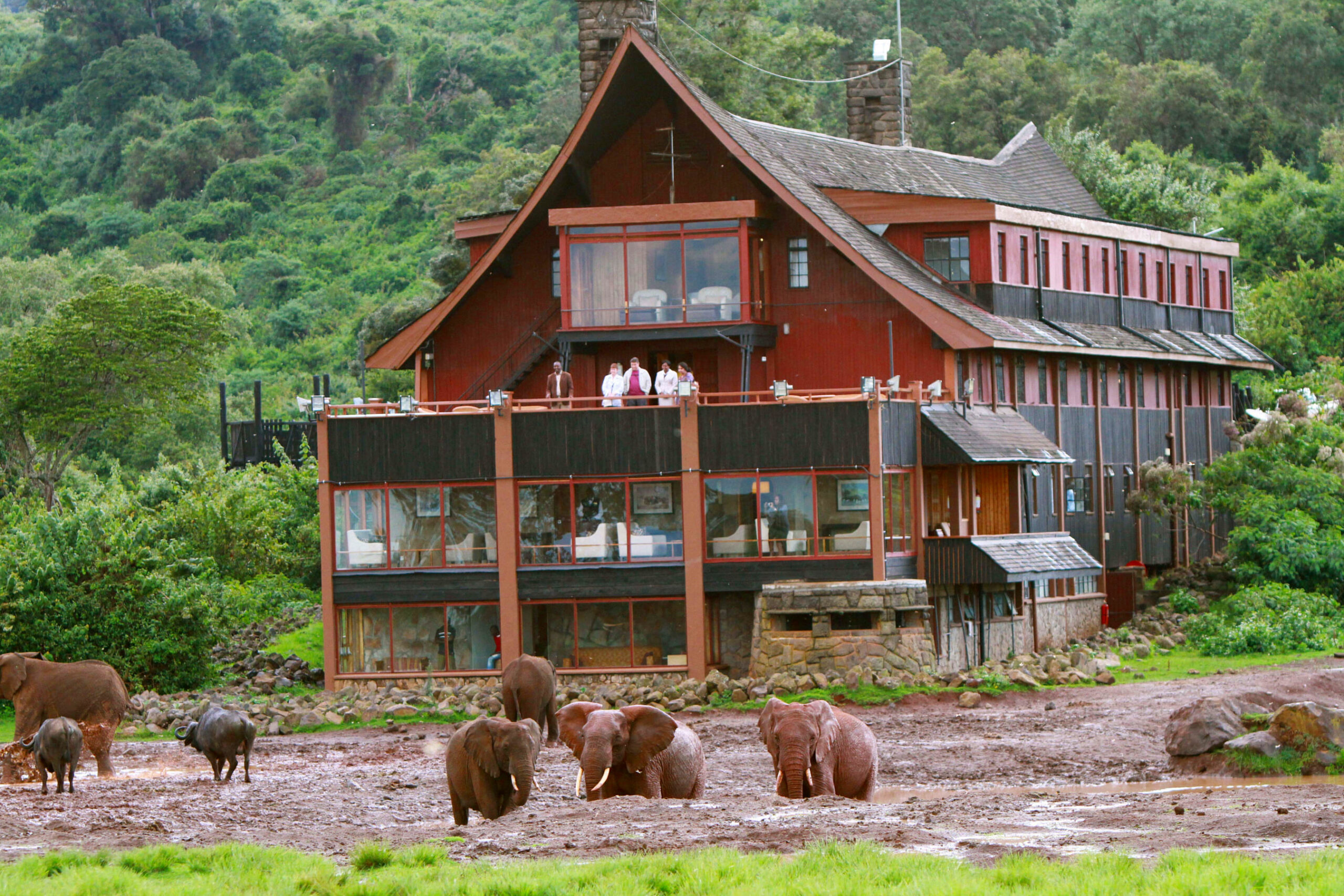 HotEL mountain