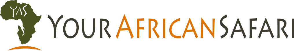 yourafricansafari.com