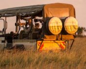 Top Wildlife Photography Tips for Your African Safari Adventure