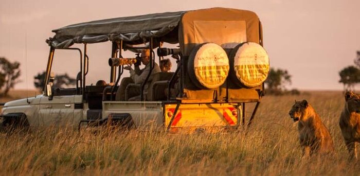 Top Wildlife Photography Tips for Your African Safari Adventure