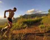 Kenya Wildlife Marathon