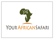 your-african-safari